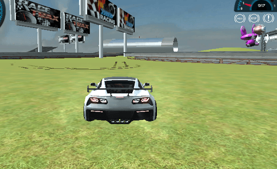 Sports Cars Driver