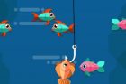 Fishing.io