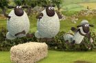 Shaun the Sheep: Ali